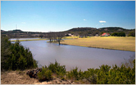 The Back Forty of Fredericksburg